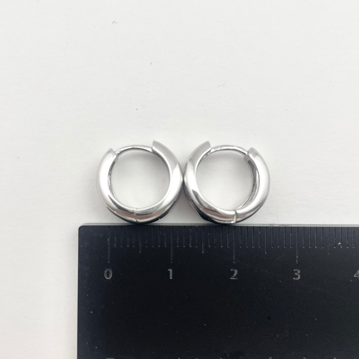 S925 Sterling Silver Polished Round Earrings Hoops