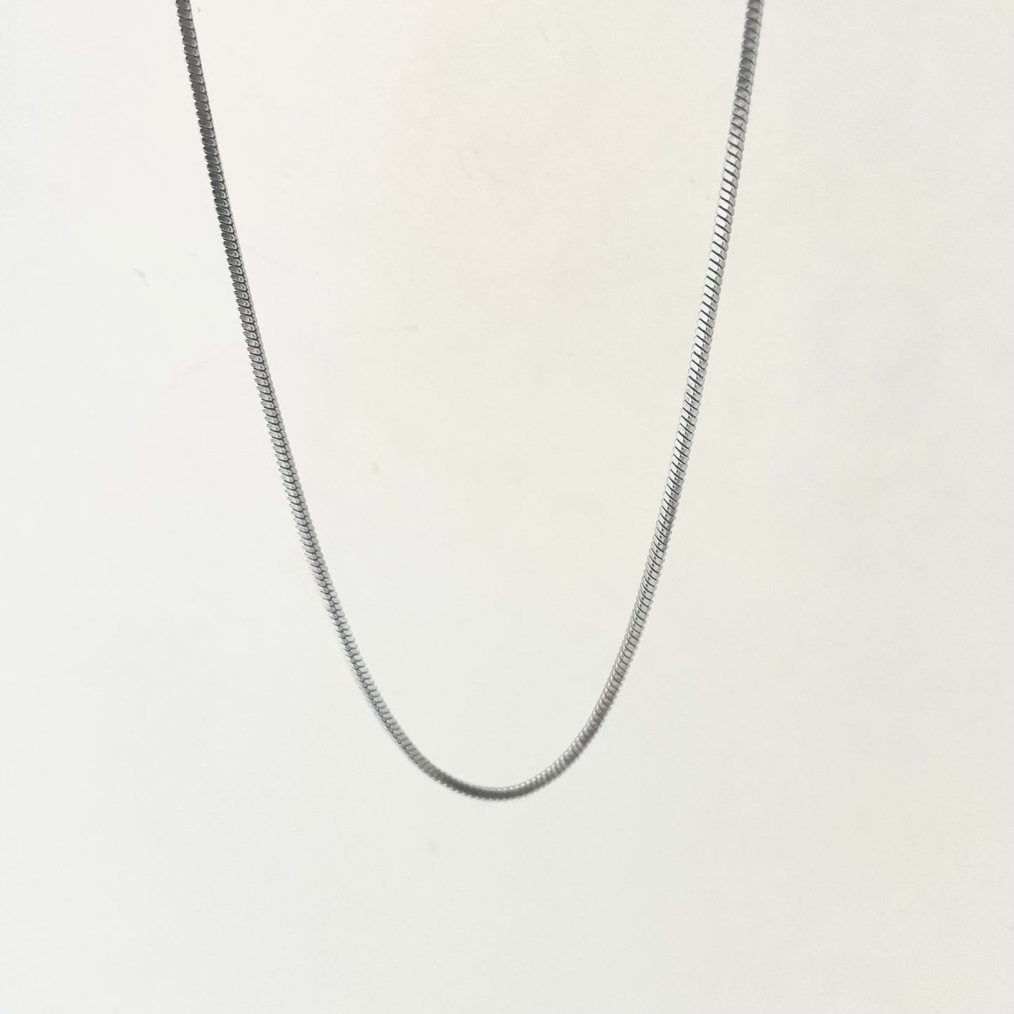 Titanium-Steel Waterproof Snake-Bone Necklace