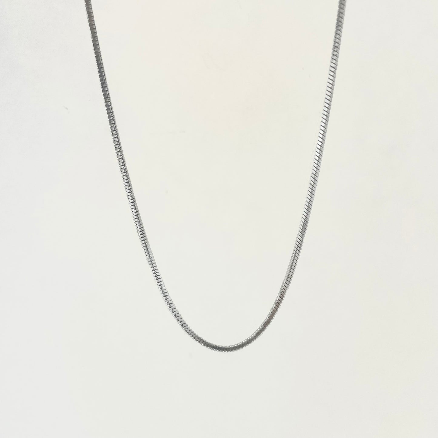 Titanium-Steel Waterproof Snake-Bone Necklace