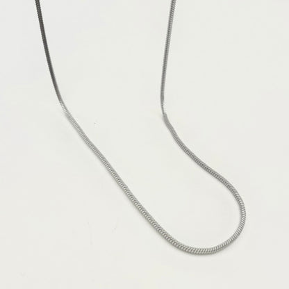 Titanium-Steel Waterproof Snake-Bone Necklace