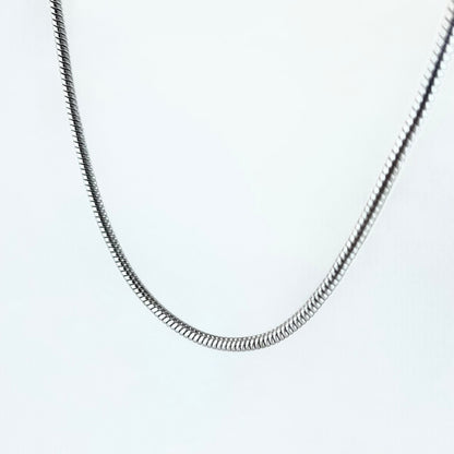 Titanium-Steel Waterproof Minimalist Snake-Bone Chain